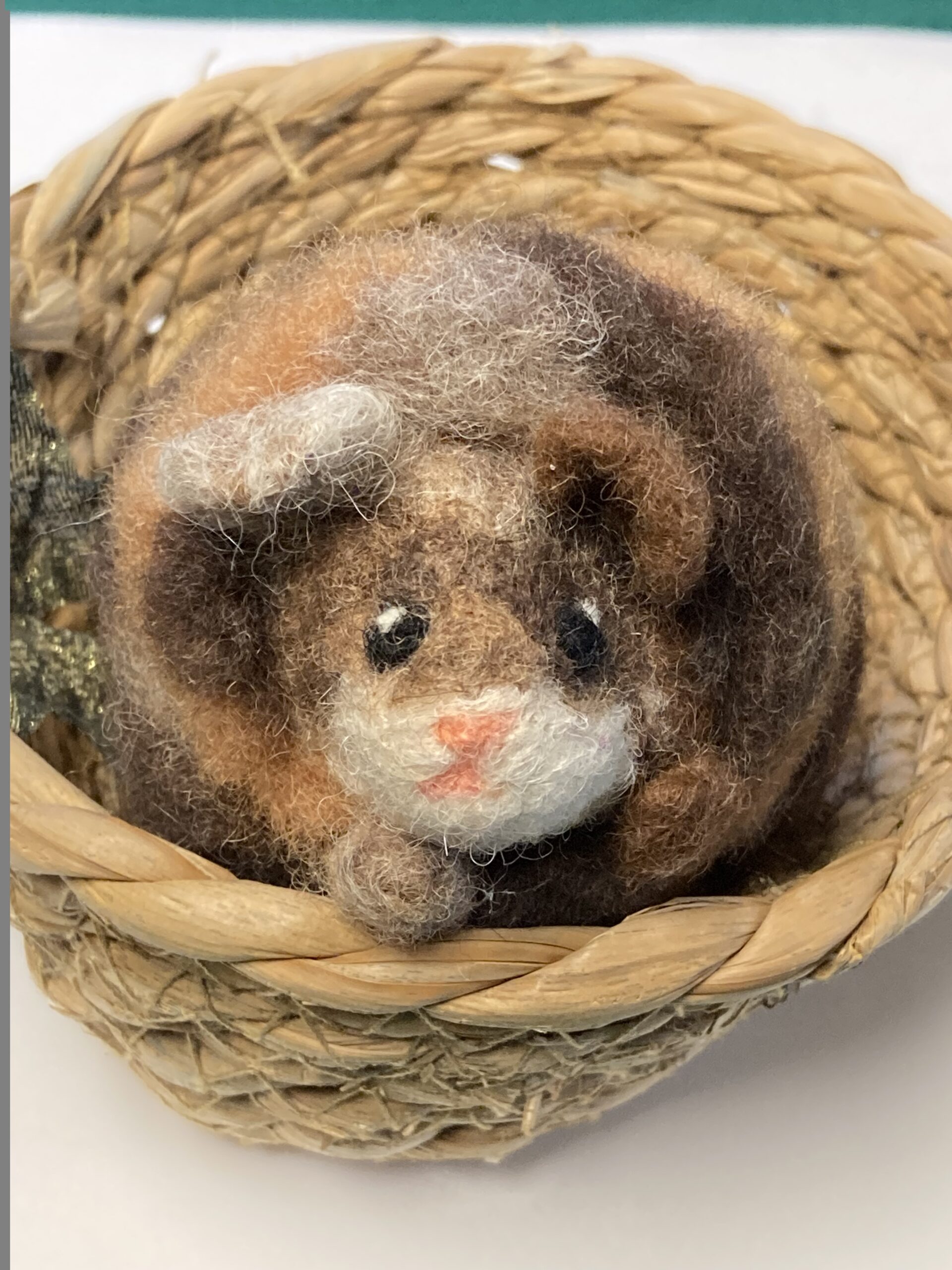 Needle Felted Fluffy Guinea Pig