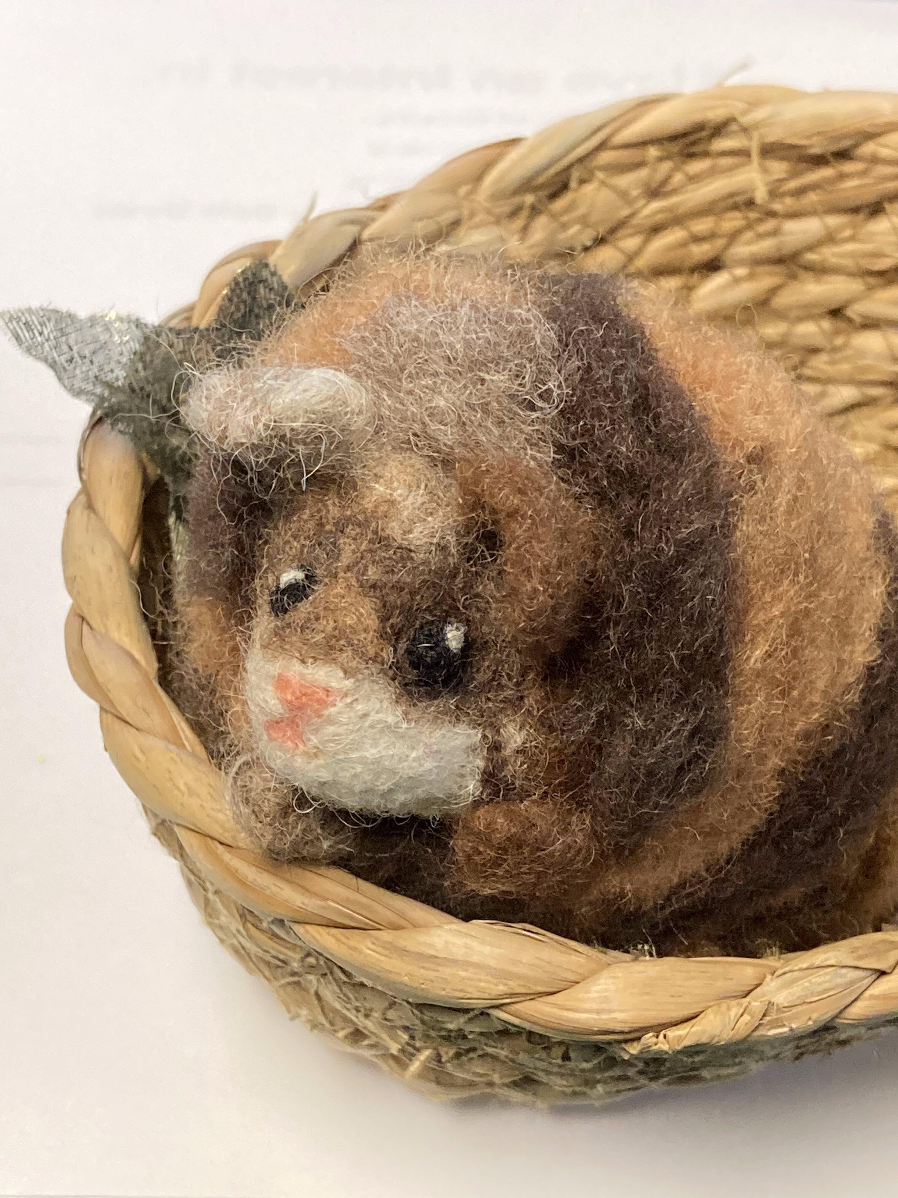 Needle Felted Fluffy Guinea Pig